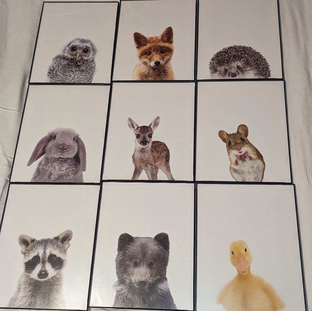 Framed Baby Animal Prints, set of 9, minimalist, Children's room or Nursery